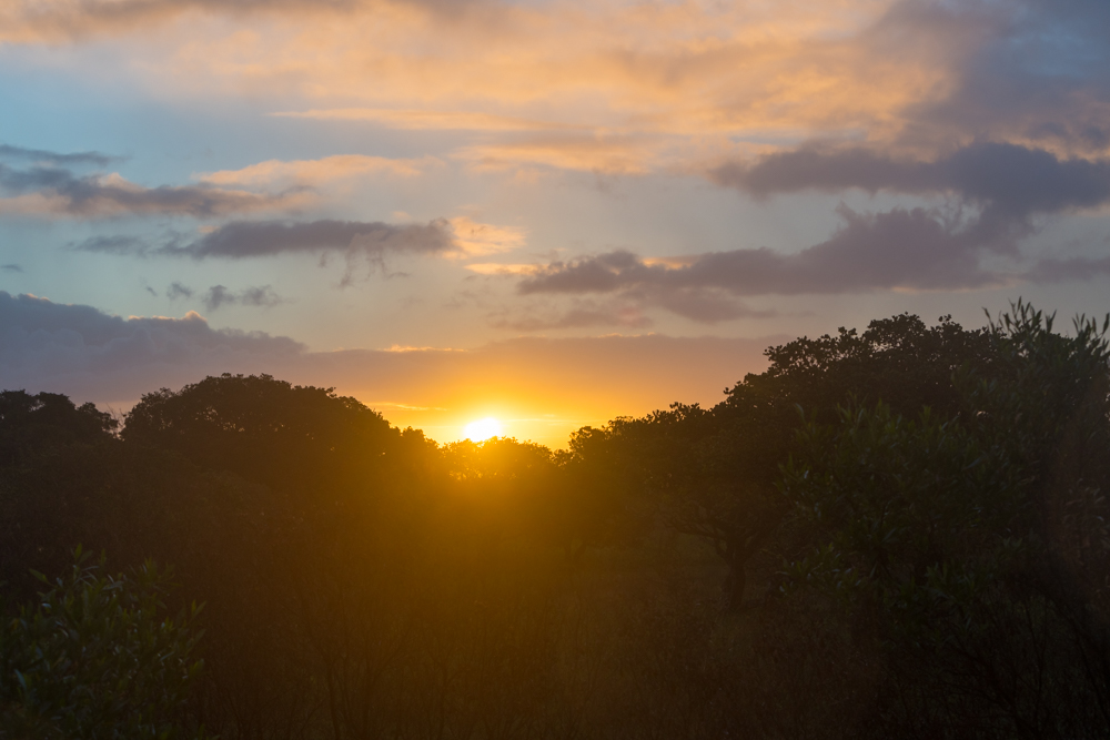 DSC_2138.jpg