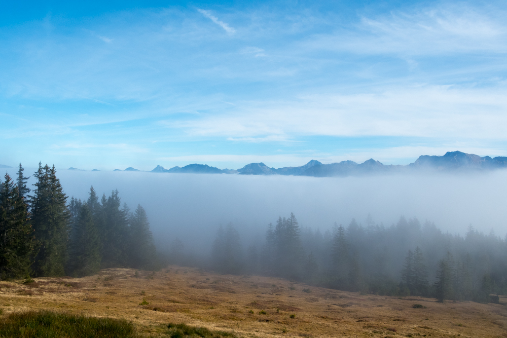DSC_7387.jpg